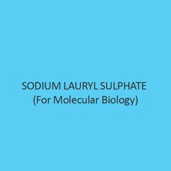 Sodium Lauryl Sulphate (For Molecular Biology)