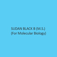 Sudan Black B