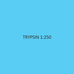 Trypsin 1 250