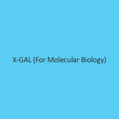X Gal (For Molecular Biology)