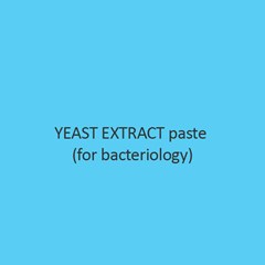 Yeast Extract paste