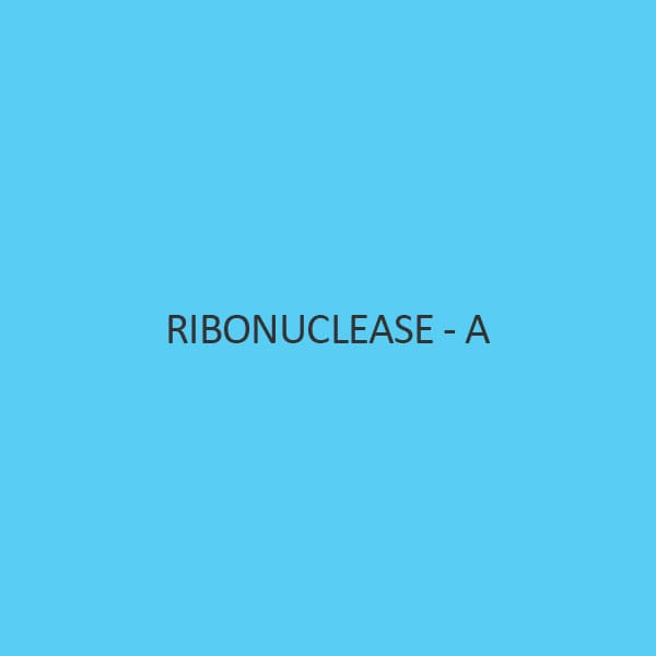 Ribonuclease A (Rnase A)