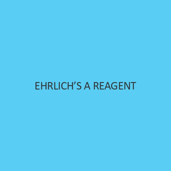 EhrlichS A Reagent Liquid