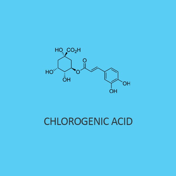 Chlorogenic Acid