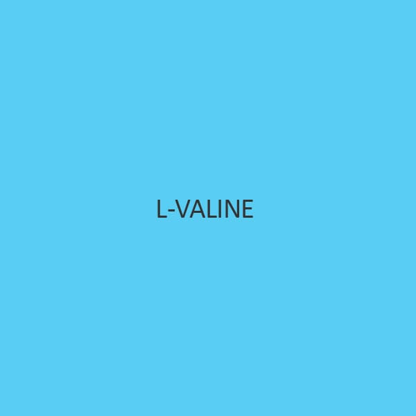 L Valine