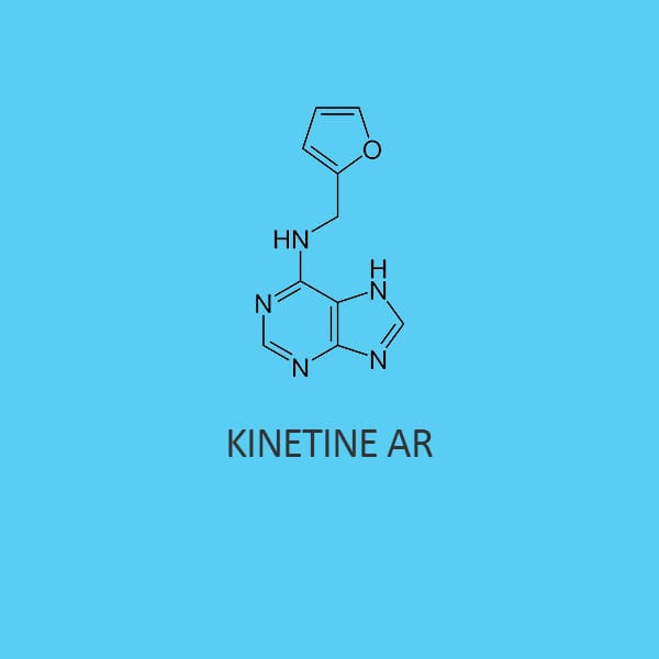 Kinetine AR