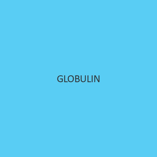 globulin