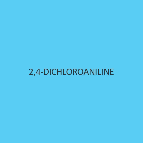 2 4 Dichloroaniline