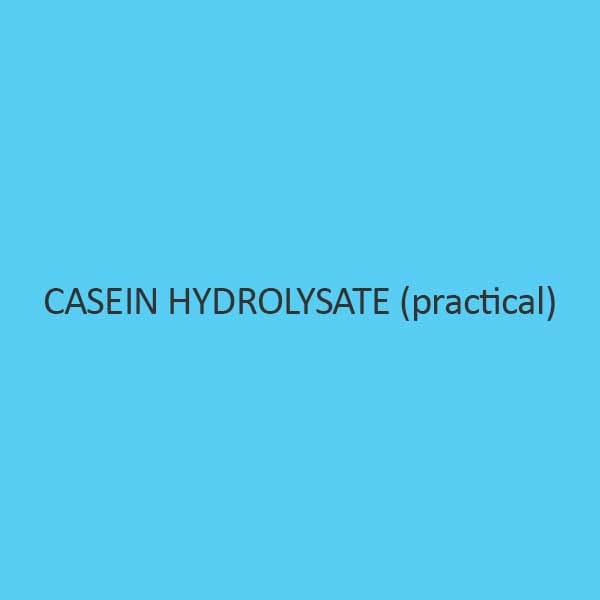 Casein Hydrolysate Practical