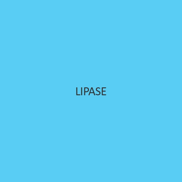 lipase