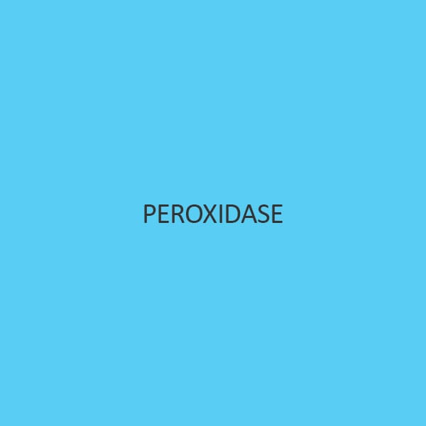 Peroxidase (From Horse Raddish)