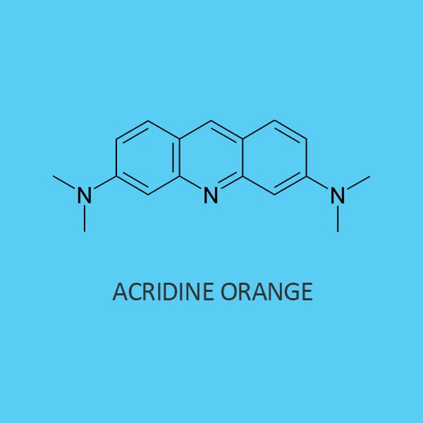 Acridine Orange M S