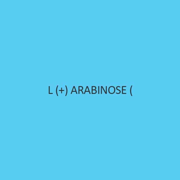 L + Arabinose
