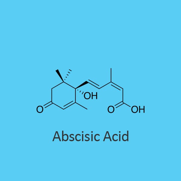 Abscisic Acid