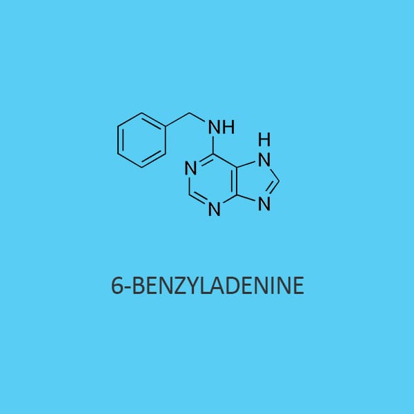 6 Benzyladenine