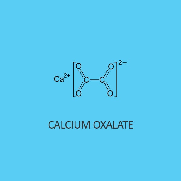 Calcium Oxalate