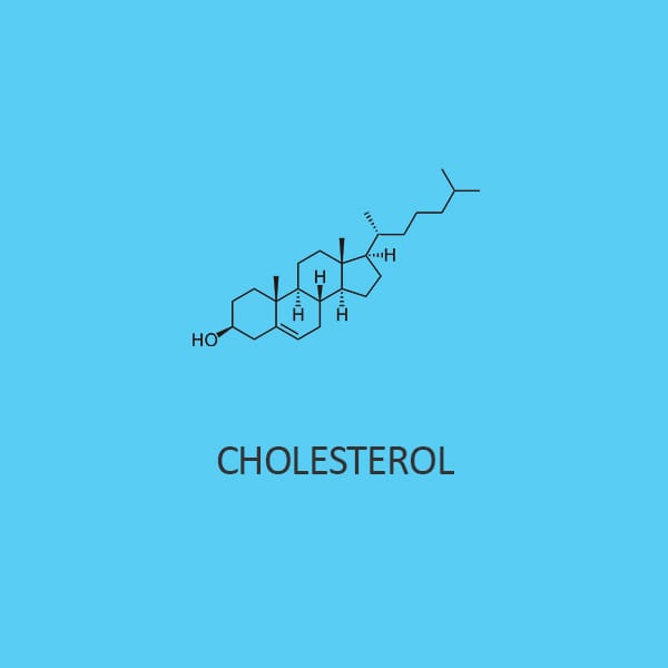 Cholesterol Extra Pure