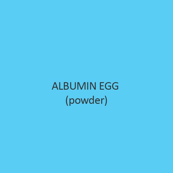 Albumin Egg Powder