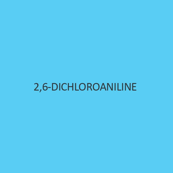 2 6 Dichloroaniline