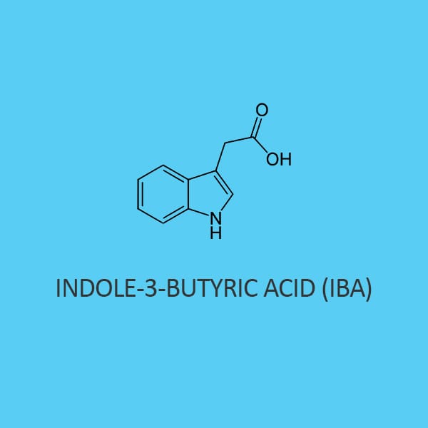 Indole-3-Butyric Acid 99% For Biochemistry (Iba)