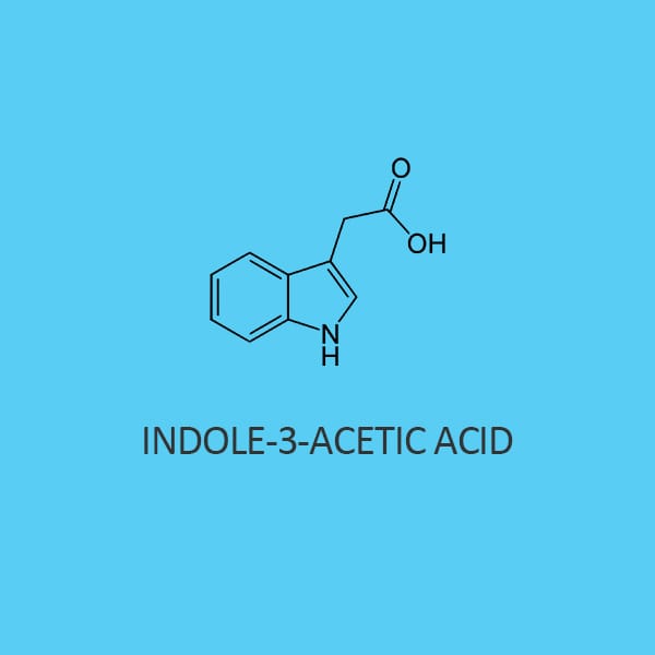 Indole 3 Acetic Acid (Iaa) 99 Percent For Biochemistry