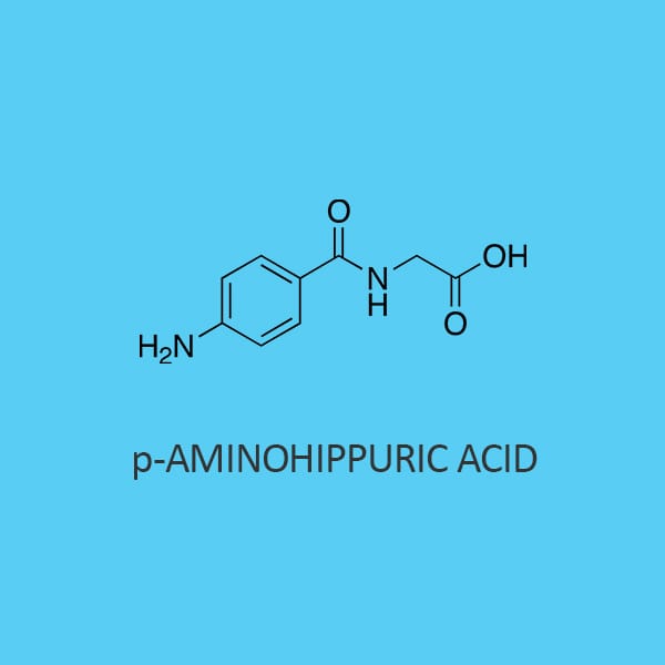p Aminohippuric Acid