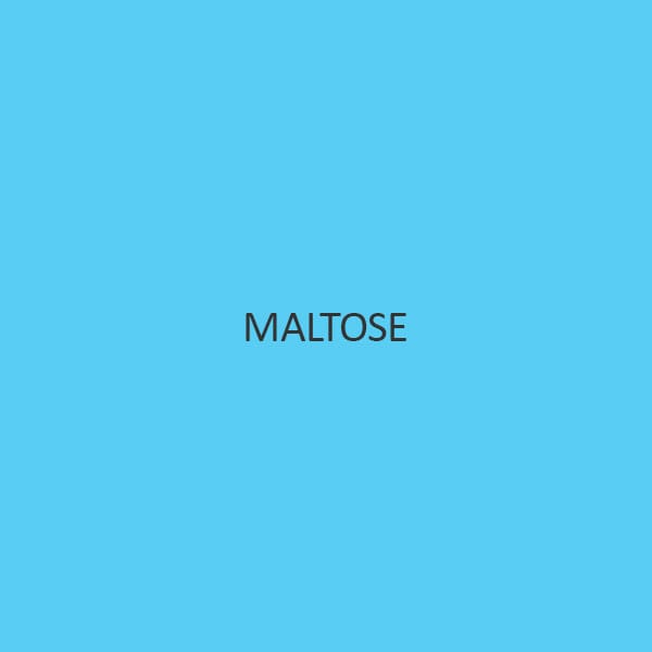 Maltose (Monohydrate)