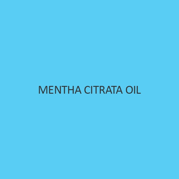 Mentha Citrata Oil