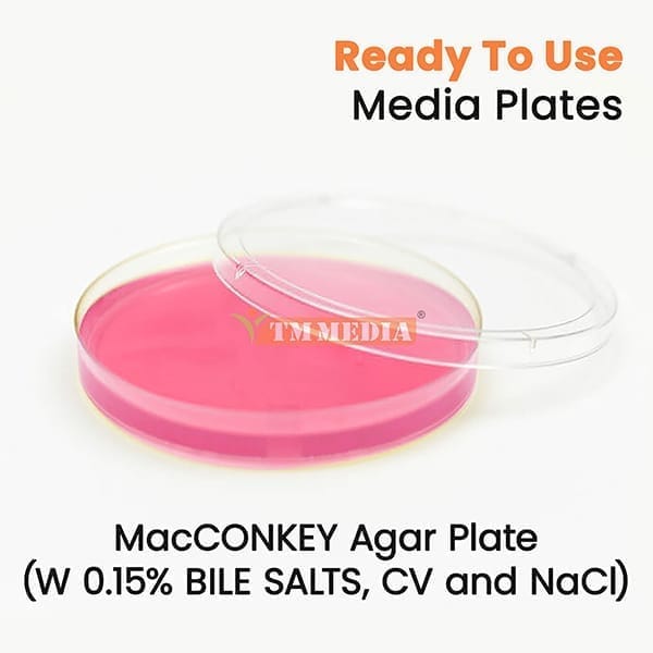 Macconkey Agar Plate (W/ 0.15 Percent Bile Salts, Cv And Nacl )