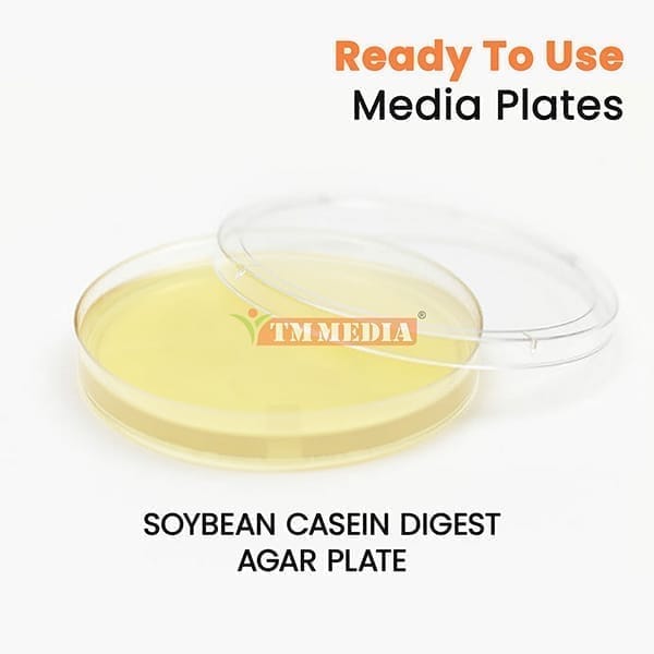 Soybean Casein Digest Agar Plate