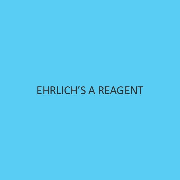 EhrlichS A Reagent Liquid