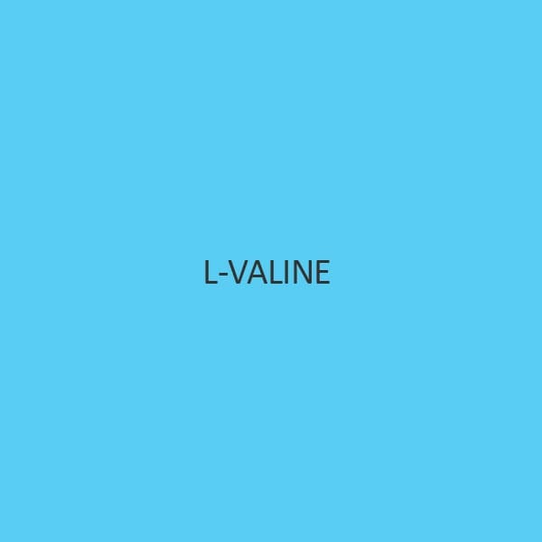 L Valine