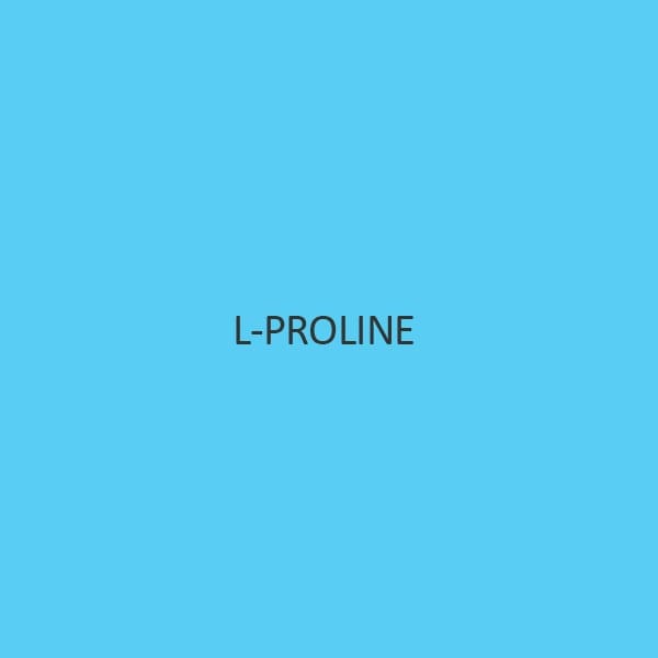 L Proline