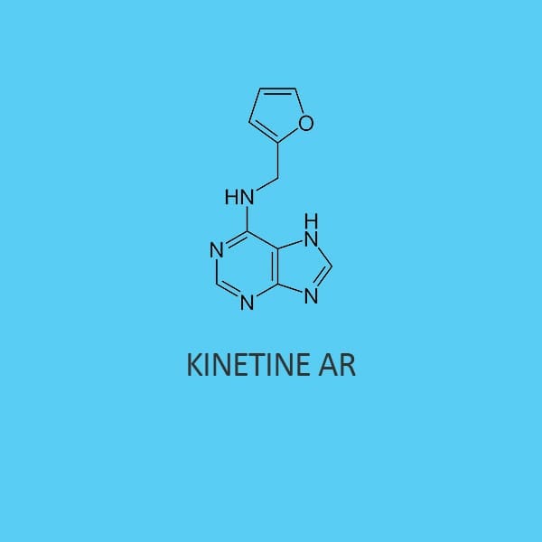 Kinetine AR
