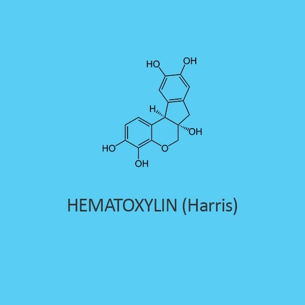 Hematoxylin (Harris) Staining Solution