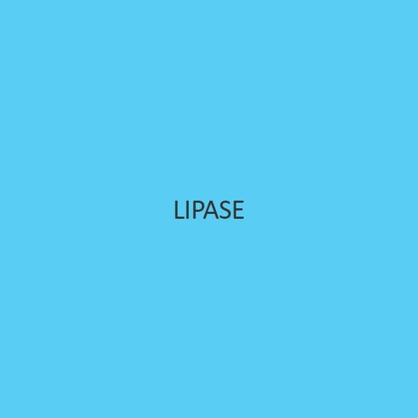 Lipase