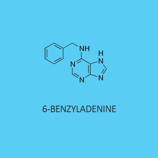 6 Benzyladenine