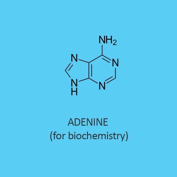 Adenine for biochemistry