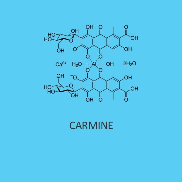 Carmine MS