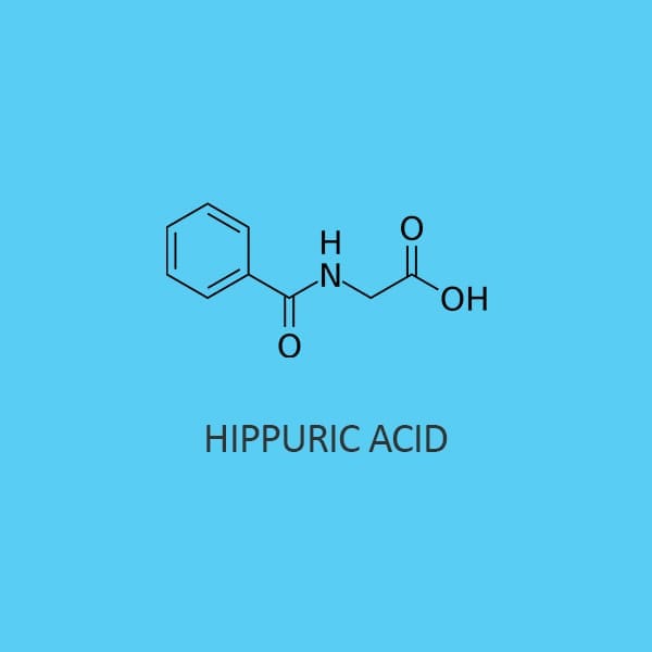 Hippuric Acid (Crystals)