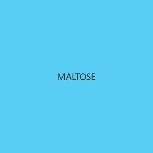 Maltose (Monohydrate)