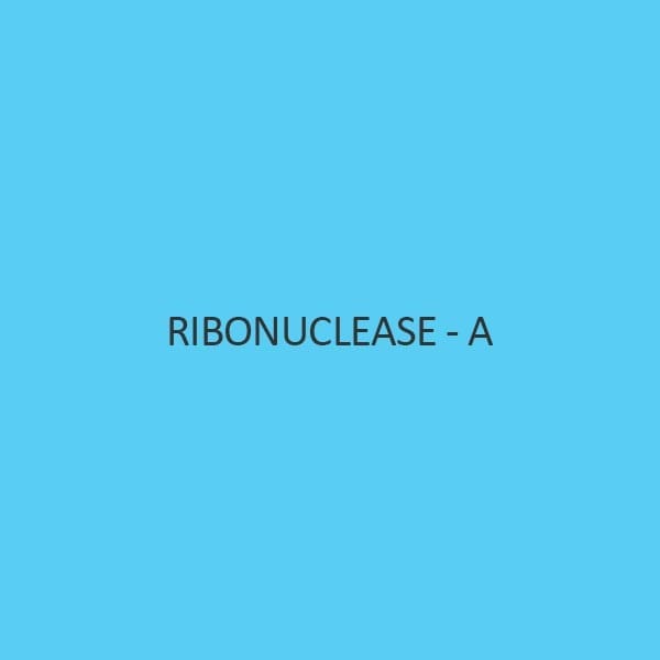 Ribonuclease A (Rnase A)