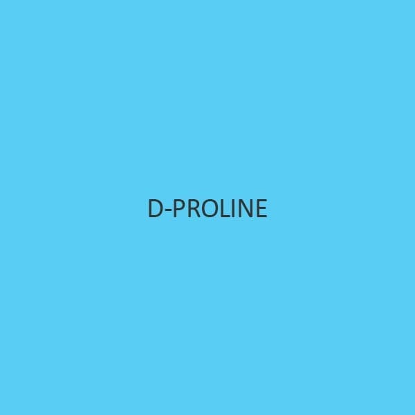 D Proline