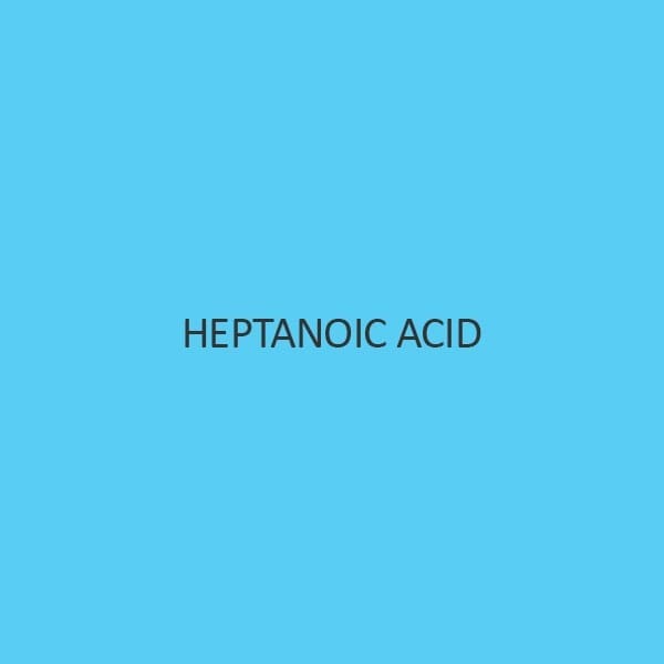 Heptanoic Acid (Enanthic Acid)