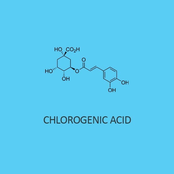 Chlorogenic Acid