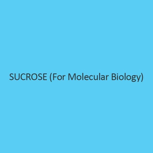 Sucrose (For Molecular Biology)