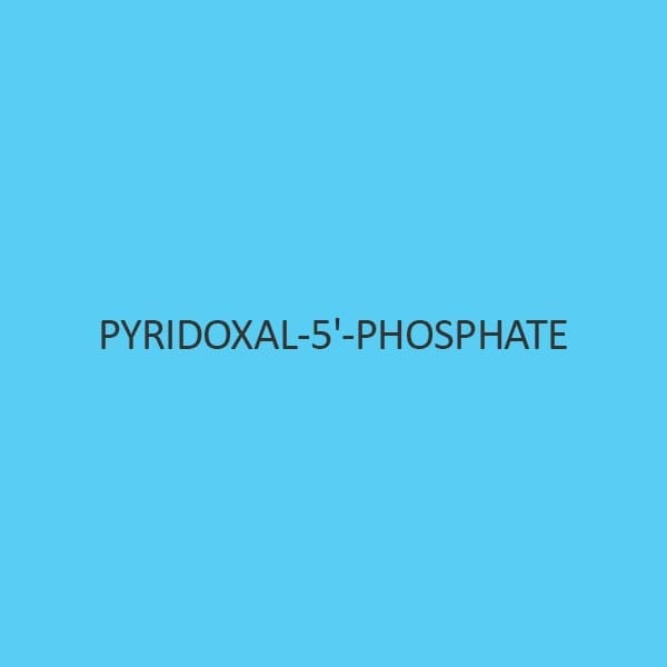 Pyridoxal 5 Phosphate