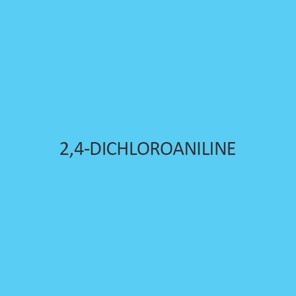 2 4 Dichloroaniline