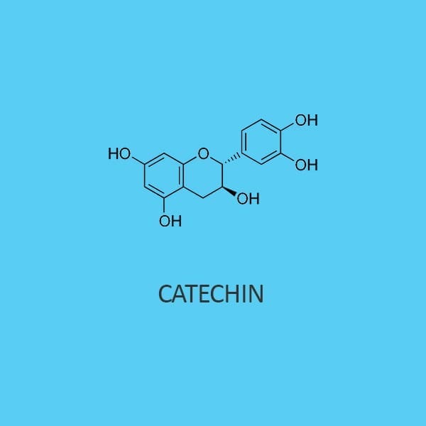 Catechin Hydrate