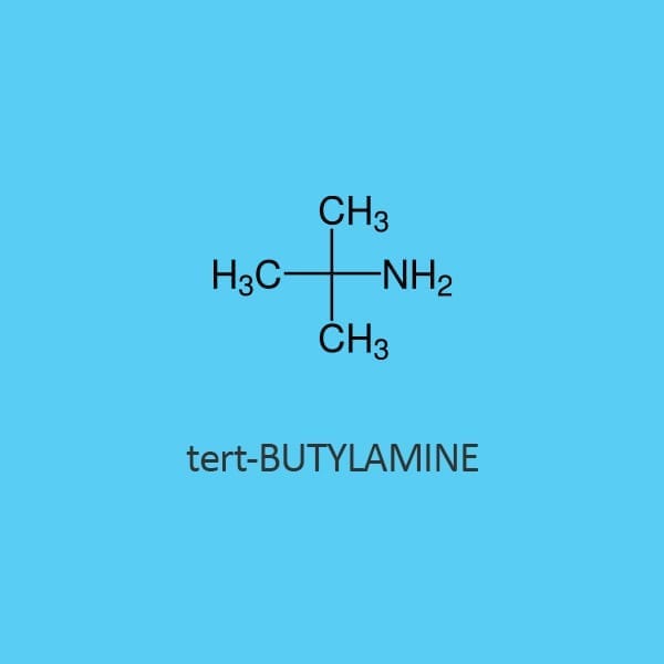 Tert Butylamine